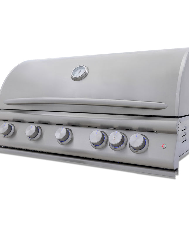 Blaze 40-Inch 5-Burner Premium LTE+ Gas Grill with Rear Burner and Built-in Lighting System