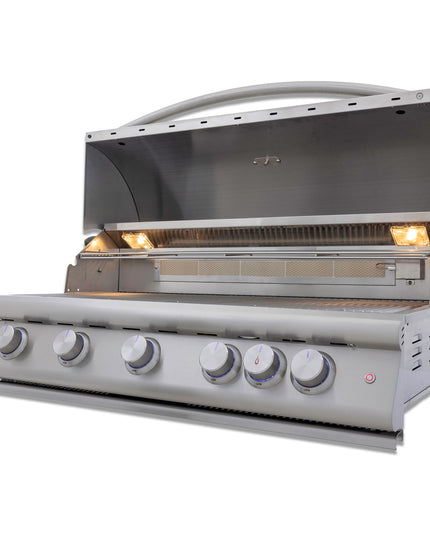 Blaze 40-Inch 5-Burner Premium LTE+ Gas Grill with Rear Burner and Built-in Lighting System
